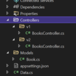 api versioning end project in asp dot net