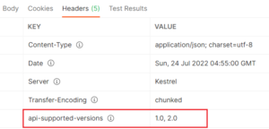 API Versioning Report Versioning