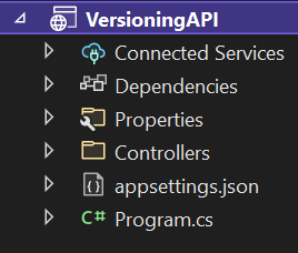 api_versioning_starting_project_structure